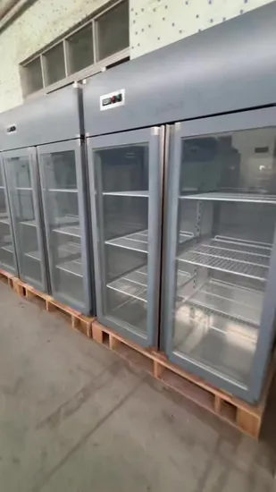 21cuft North America Market Portable Blast Vertical Upright Freezer
