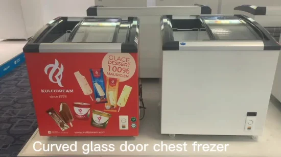 China Factory OEM 168L Supermarktkühler Gewerblicher Kühlschrank Glastür Mini-Kühlschrank Eiscreme-Schaufenster Obst-Fleisch-Chargen-Display-Gefrierschrank Tiefkühltruhe