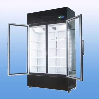 Hochwertiger Bar-Kühlschrank mit automatischer Abtaufunktion, 700 l, vertikaler Gefrierschrank mit Doppelglastür für kalte Getränke und Säfte
